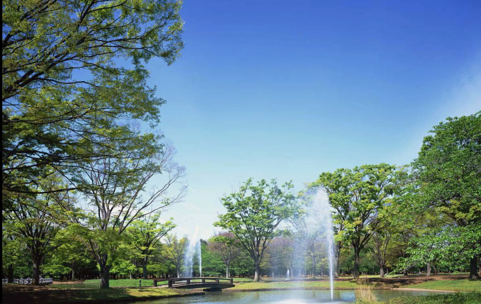 スライダー画像5